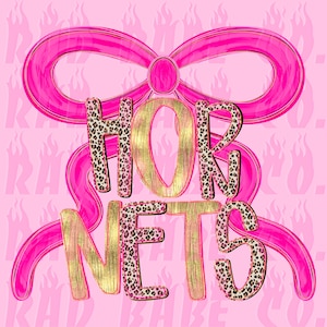 pretty in pink hornets png, football mascot png, hornets png