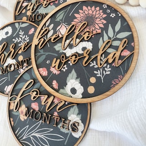 Indicatore della pietra miliare mensile annuncio di nascita del bambino regalo personalizzato per il bambino foto del bambino prop ciao mondo segno personalizzato nome del bambino segno benvenuto bambino
