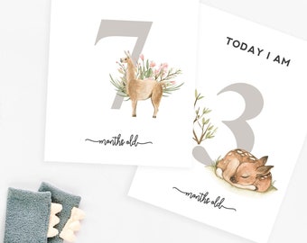 Digital Download - Monthly Milestone Markers - Baby Month Cards - Floral Animal Watercolor Design