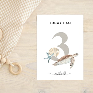 Digitaler Download – Monatliche Meilensteinmarkierungen – Baby-Monatskarten – Meeres-Aquarell-Design