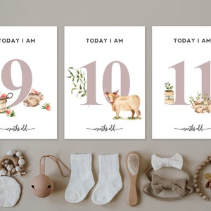 Téléchargement numérique - marqueurs d'étape mensuelle - cartes de mois de bébé - conception aquarelle animaux de la ferme passe-temps