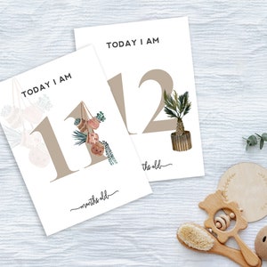 Digitaler Download - Meilenstein Marker - Baby Monat - Topfpflanze Aquarell Design