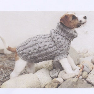 May include: A small, white and brown dog wearing a grey knitted sweater with a cable knit pattern. The dog is standing on a pile of rocks.
