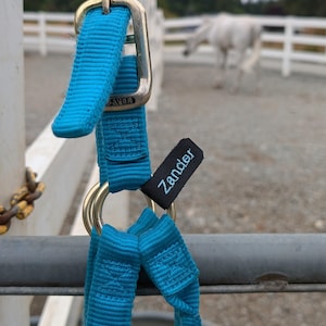 Op de afbeelding: Een close-up van een turquoise paardenhalster met goudkleurige metalen hardware. Het halster heeft het woord "SAVER" op de gesp en een zwart label met de naam "Zander" in het wit geborduurd. Op de achtergrond staat een wit paard.