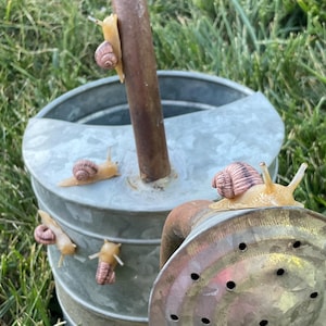Op de afbeelding: Een gegalvaniseerde metalen gieter met een bruine handgreep en tuit, rustend op groen gras. Verschillende slakken met bruine en bruin-beige schelpen kruipen op de gieter.