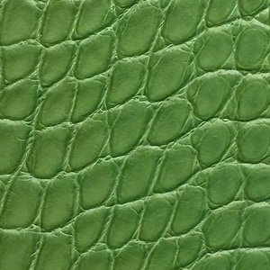 Alligator Green Leather Watch Strap - Handmade Leather Watch Straps LEACUS