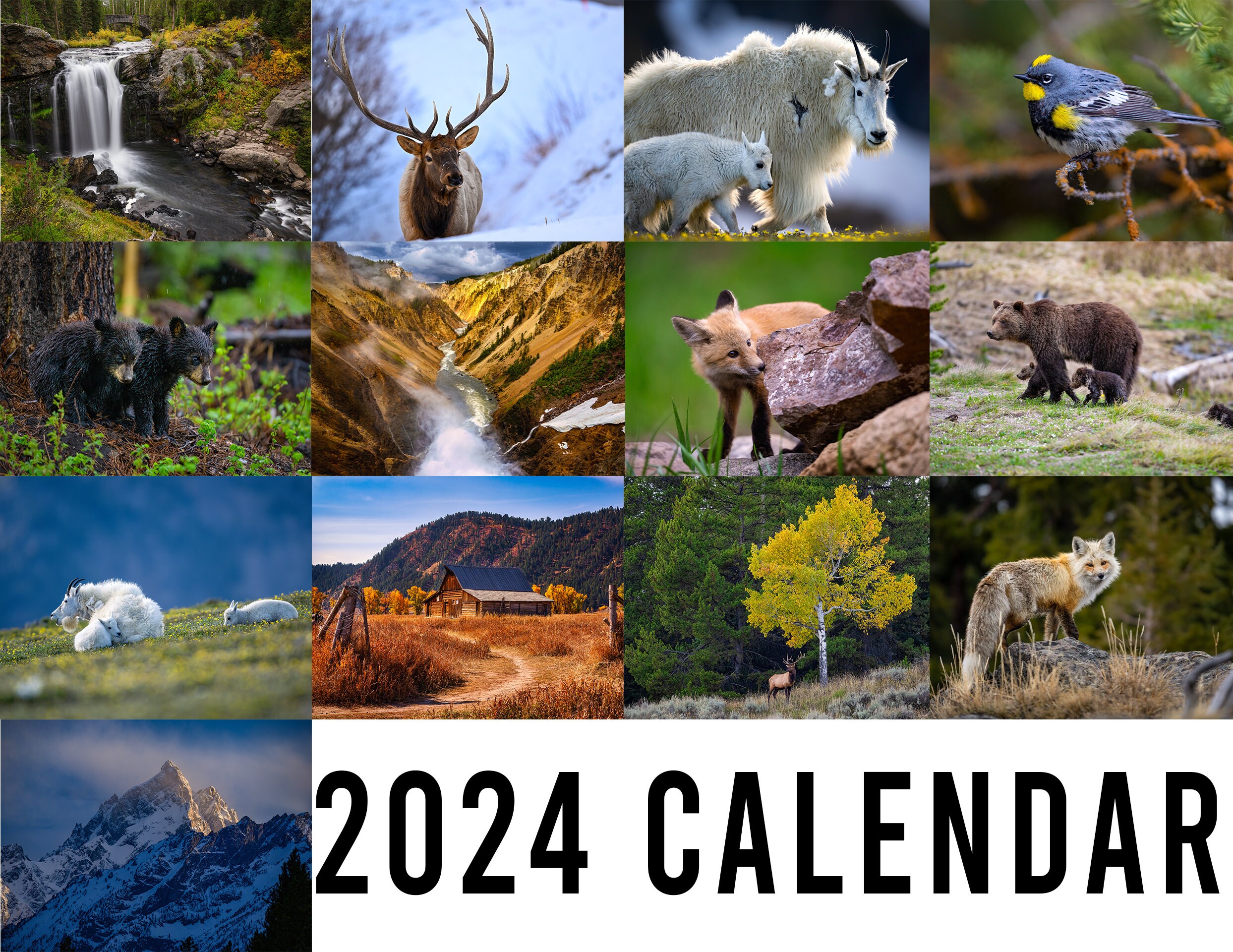 2024 Wildlife Landscape Photo Calendars Yellowstone Grand Tetons