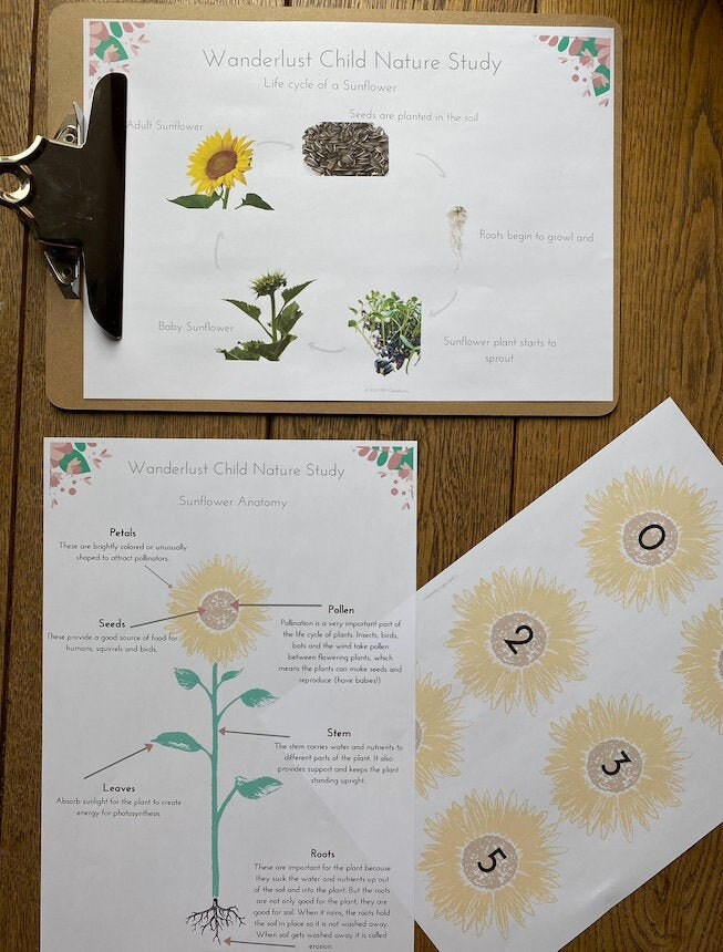 PDF Download: Sunflowers and Summer Flowers