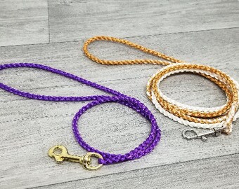 swivel dog show leads