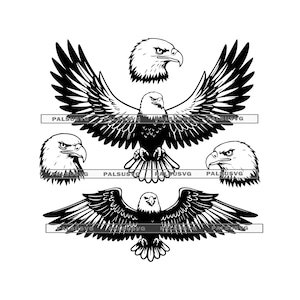 May include: A collection of black and white eagle illustrations. The image features a full eagle with wings spread, two eagle head profiles, and two additional eagle head illustrations.