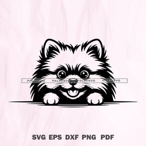 Peeking Pomeranian Dog SVG | Cute Fluffy Puppy Cut File | Pet Lover Design | Cricut Silhouette Png Dxf Eps | Instant Download