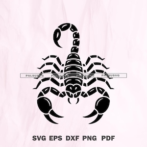 Scorpion SVG | Detailed Insect Cut File | Scorpio Zodiac Symbol | Cricut Silhouette PNG DXF Eps | Instant Download