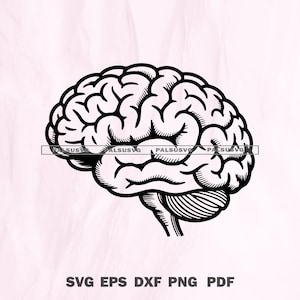 解剖学的脳SVG | 人間の脳のクリップアート | Cricutカットファイル | シルエットデザイン | PNG DXF Eps | 即時ダウンロード