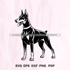 Dobermann-pinscher hond SVG | Felle honden gesneden bestand | Ontwerp hondenliefhebber | Cricut silhouet png dxf eps | Direct downloaden
