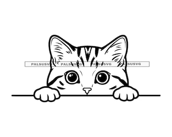 Kat gluren ontwerp gesneden bestanden voor Cricut & silhouet | SVG, EPS, DXF, PNG | Direct downloaden
