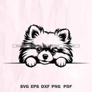 Peeking Pomeranian Dog SVG | Cute Fluffy Puppy Cut File | Pet Lover Design | Cricut Silhouette Png Dxf Eps | Instant Download