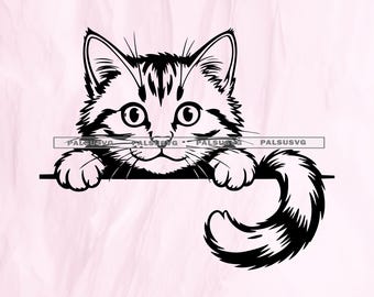 Kat gluren ontwerp gesneden bestanden voor Cricut & silhouet | SVG, EPS, DXF, PNG | Direct downloaden