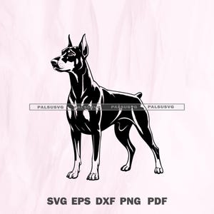 Dobermann-pinscher hond SVG | Felle honden gesneden bestand | Ontwerp hondenliefhebber | Cricut silhouet png dxf eps | Direct downloaden