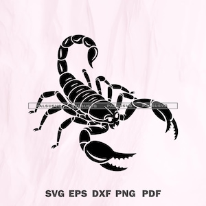 Scorpion SVG | Detailed Insect Cut File | Scorpio Zodiac Symbol | Cricut Silhouette PNG DXF Eps | Instant Download