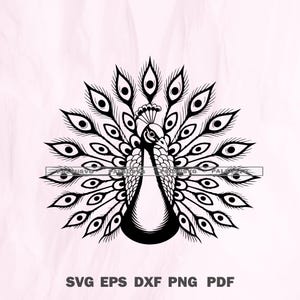 Peacock Vector Design Set | SVG, EPS, Dxf, Png, Pdf for Cricut, Silhouette, Laser Cut | Peacock Clipart, Decals, instant download