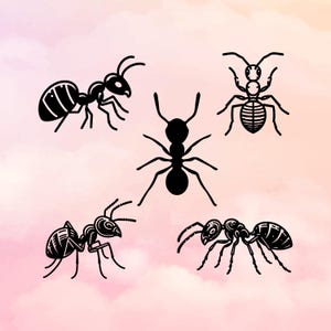 Ant Svg, Bug Svg, Insect Svg. Vector Cut file for Cricut, Silhouette, Pdf Png Eps Dxf, Decal, Sticker, Stencil, Vinyl, Pin
