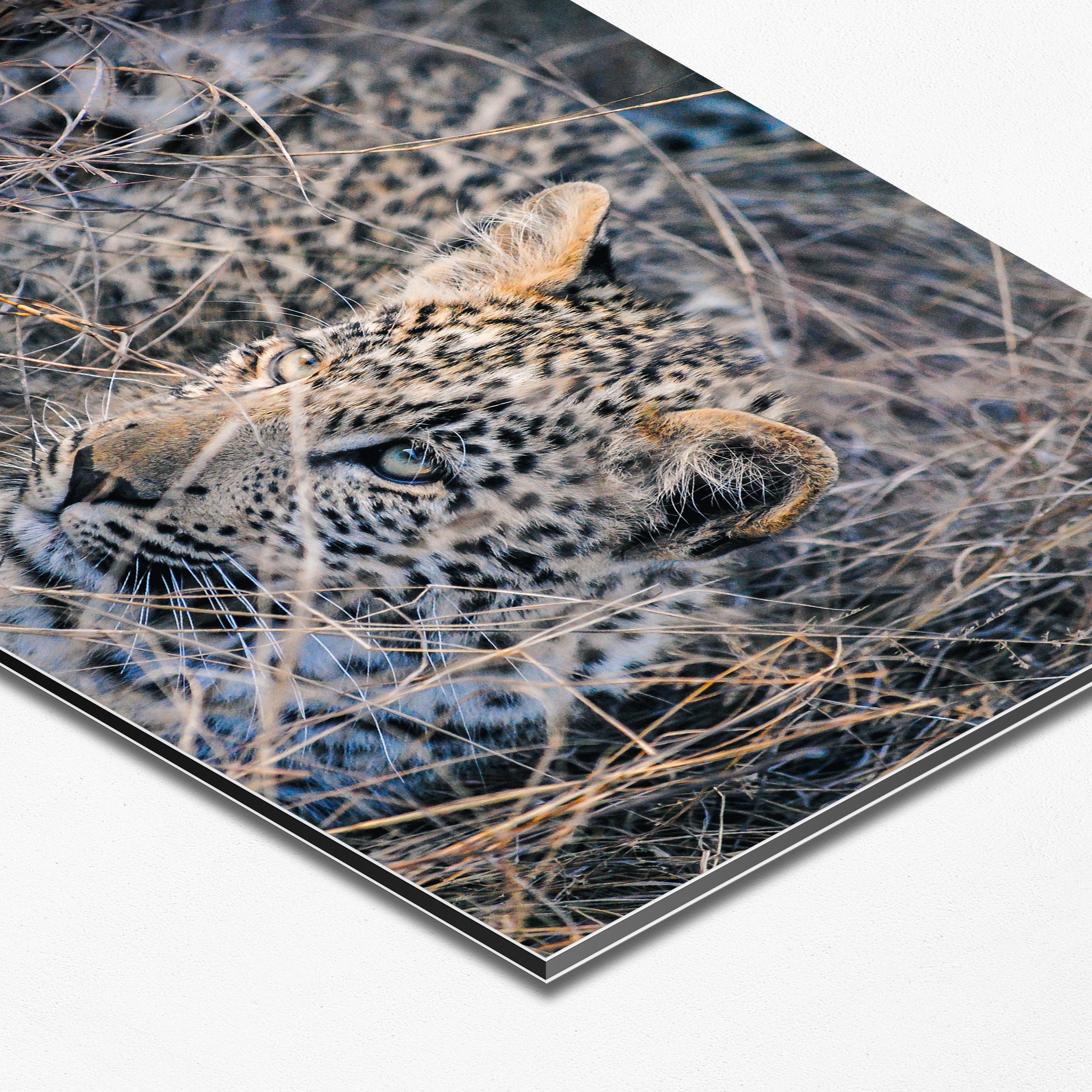 Nature photography Wildlife Wall Art Landscape Photography Etsy