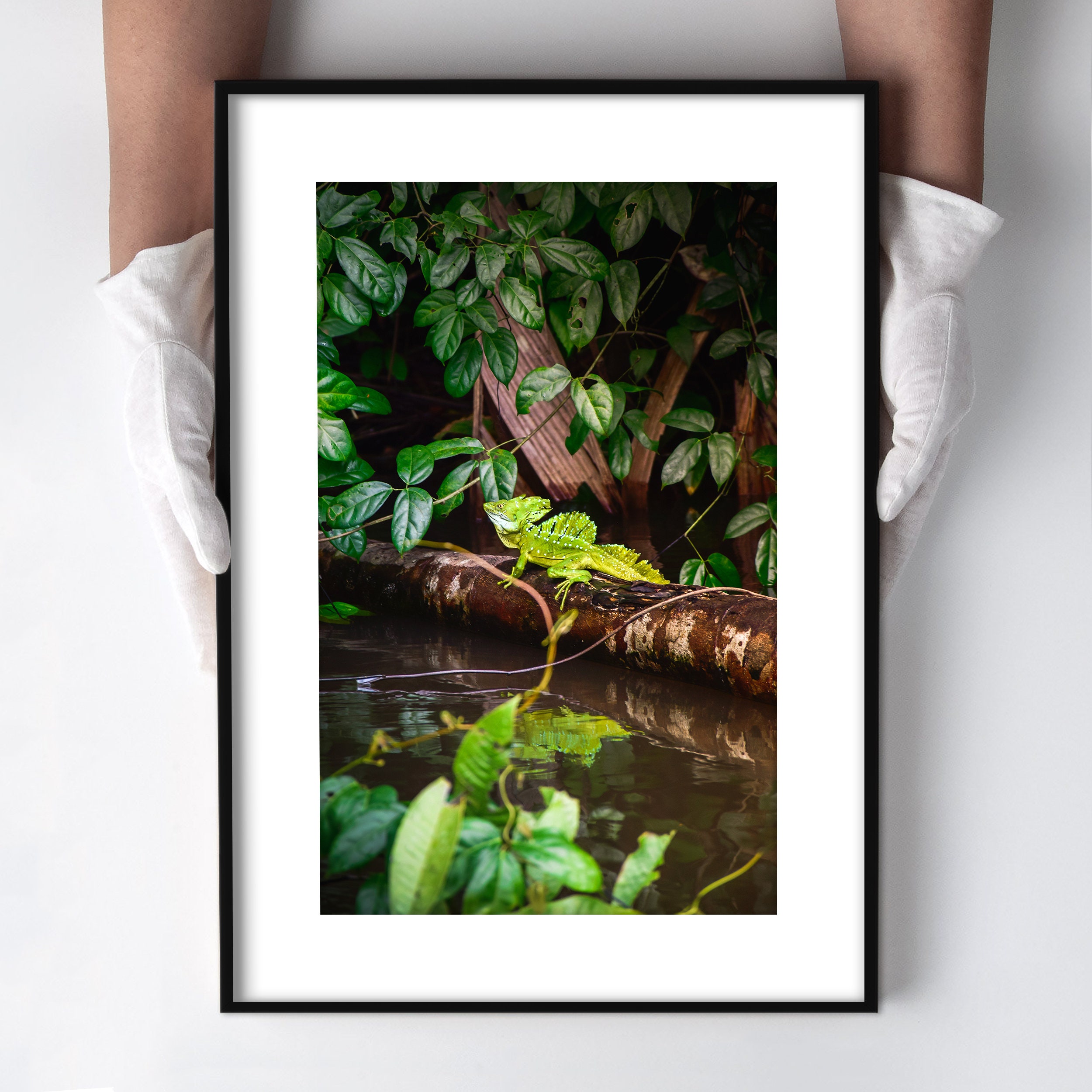 Nature photography Wildlife Wall Art Landscape Photography Etsy