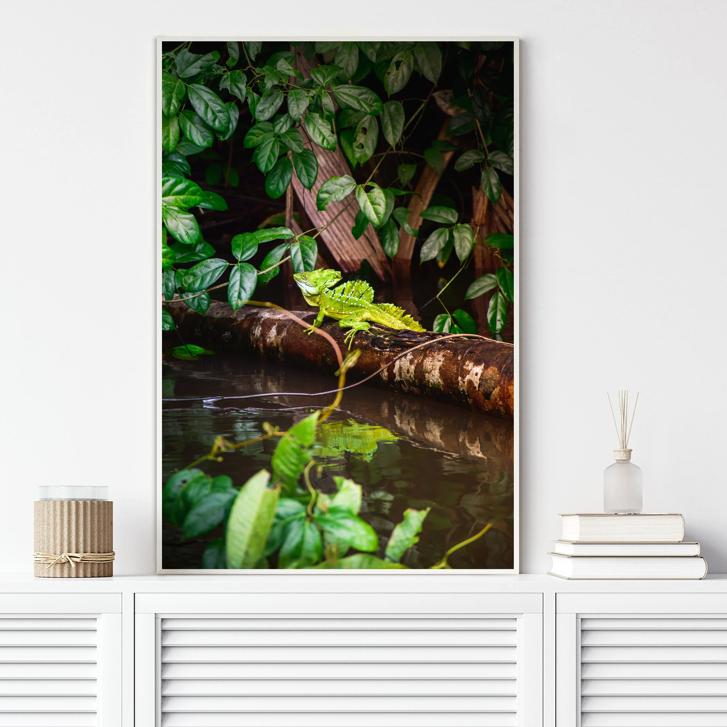 Nature photography Wildlife Wall Art Landscape Photography Etsy
