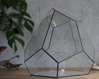 Terrarium "Diamant Noir"