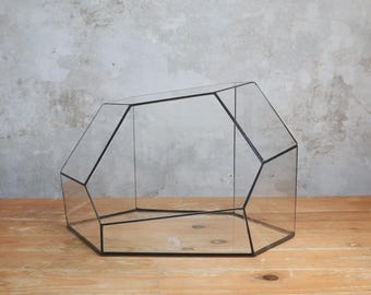 Geometric terrarium Zircon