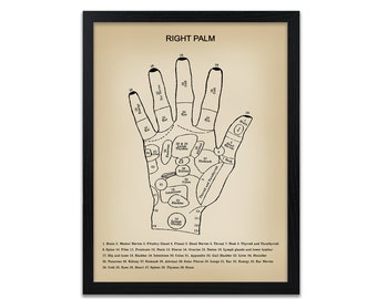 Può includere: Un'illustrazione in bianco e nero di una mano con zone numerate, etichettate con le corrispondenti parti del corpo. L'immagine è intitolata "Right Palm" e include una chiave che elenca le parti del corpo associate a ciascuna zona.