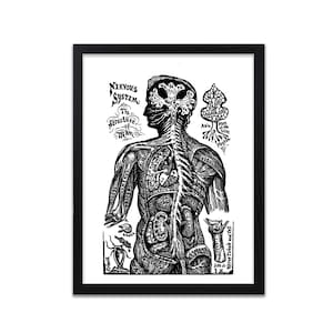 Nervous System Print | Circulatory System | Human Veins | Brain Anatomy | Medicine Art | Neurology Clinic | Office Wall Art | Medical Art