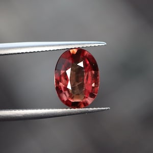 May include: A red oval gemstone with a faceted cut, held in tweezers.