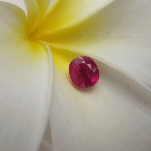 May include: A vibrant red gemstone, with a faceted oval shape, rests on a white flower petal.