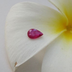 May include: A pear-shaped ruby gemstone with a deep red color. The gemstone is set against a white flower petal.