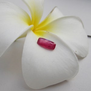 May include: A vibrant red gemstone, cut in a rectangular shape, is displayed on a white flower petal.
