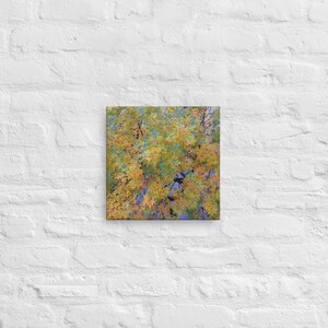 Canvas, Canvas Prints, Canvas Wall Art, Canvas Print  Home Decor,  Autumn Leaves on Tree , Canvas Print  Autumn,  Home Decor,  Gift