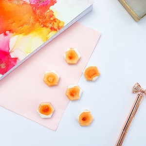 Peach Ceramic Magnets / Set of 6 / Office Stationary Decor