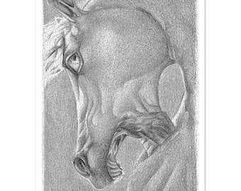 The Count in Grey - Premium Matte Paper Print
