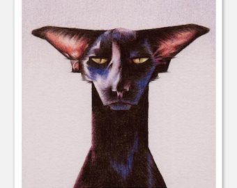 Oriental Shorthair - Premium Matte Paper Print