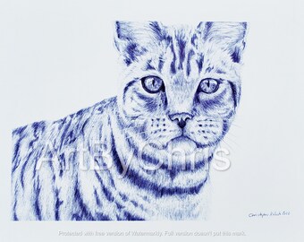 Original Pen Drawing Tabby Cat