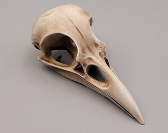 Raven/Crow Printed Skull - Painted Cosplay Costume Accessory Decoration