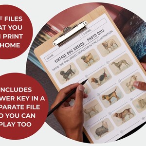 Vintage Dog Breeds Illustrations Photo Quiz – Printable Trivia Game ...
