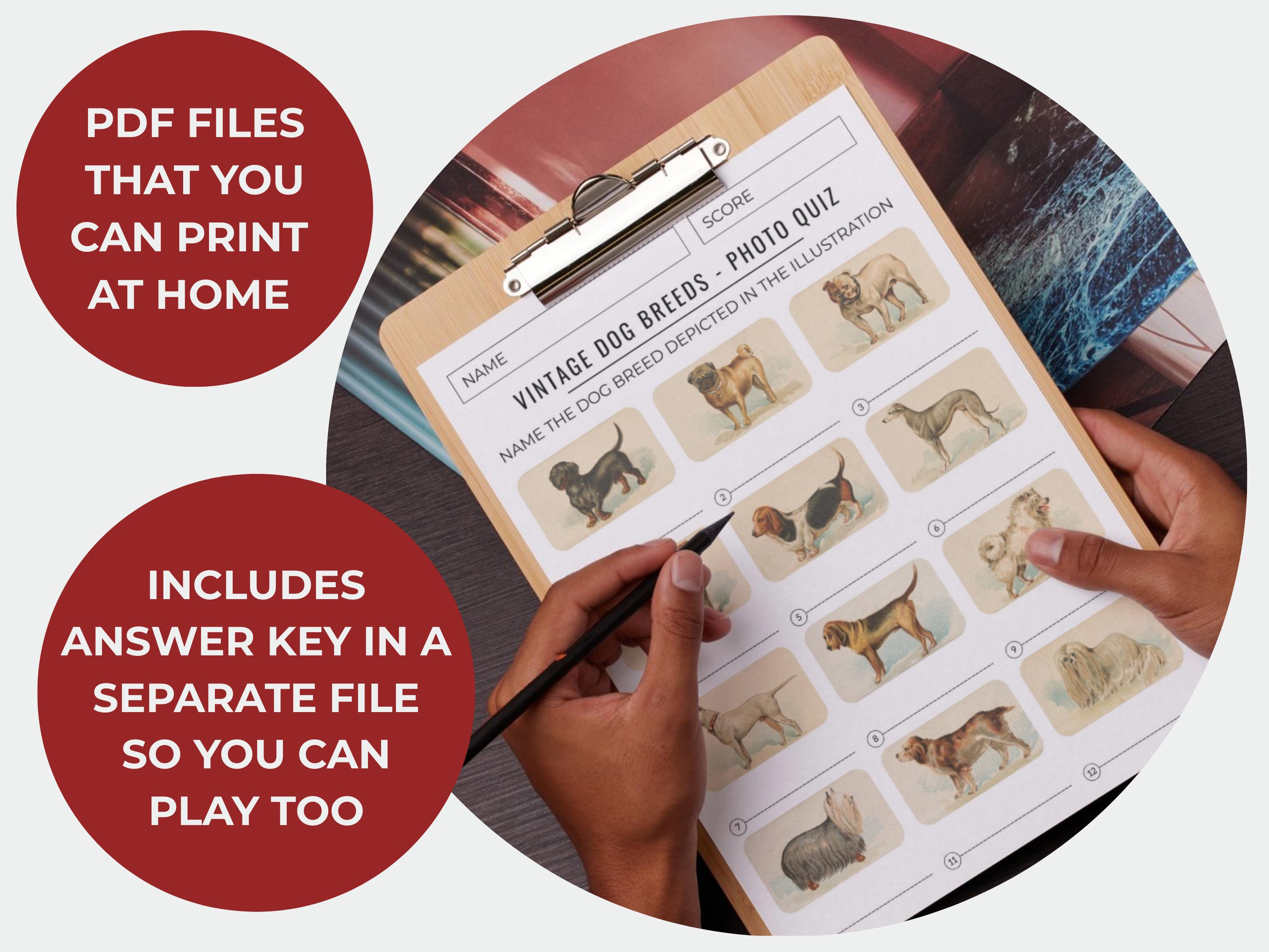Vintage Dog Breeds Illustrations Photo Quiz – Printable Trivia Game ...