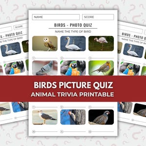 Może przedstawiać: Drukowany quiz ze zdjęciami ptaków z obrazami różnych gatunków ptaków. Quiz zawiera miejsca na imię i wynik, z tytułem "Birds - Photo Quiz" i pytaniem "Nazwij typ ptaka."