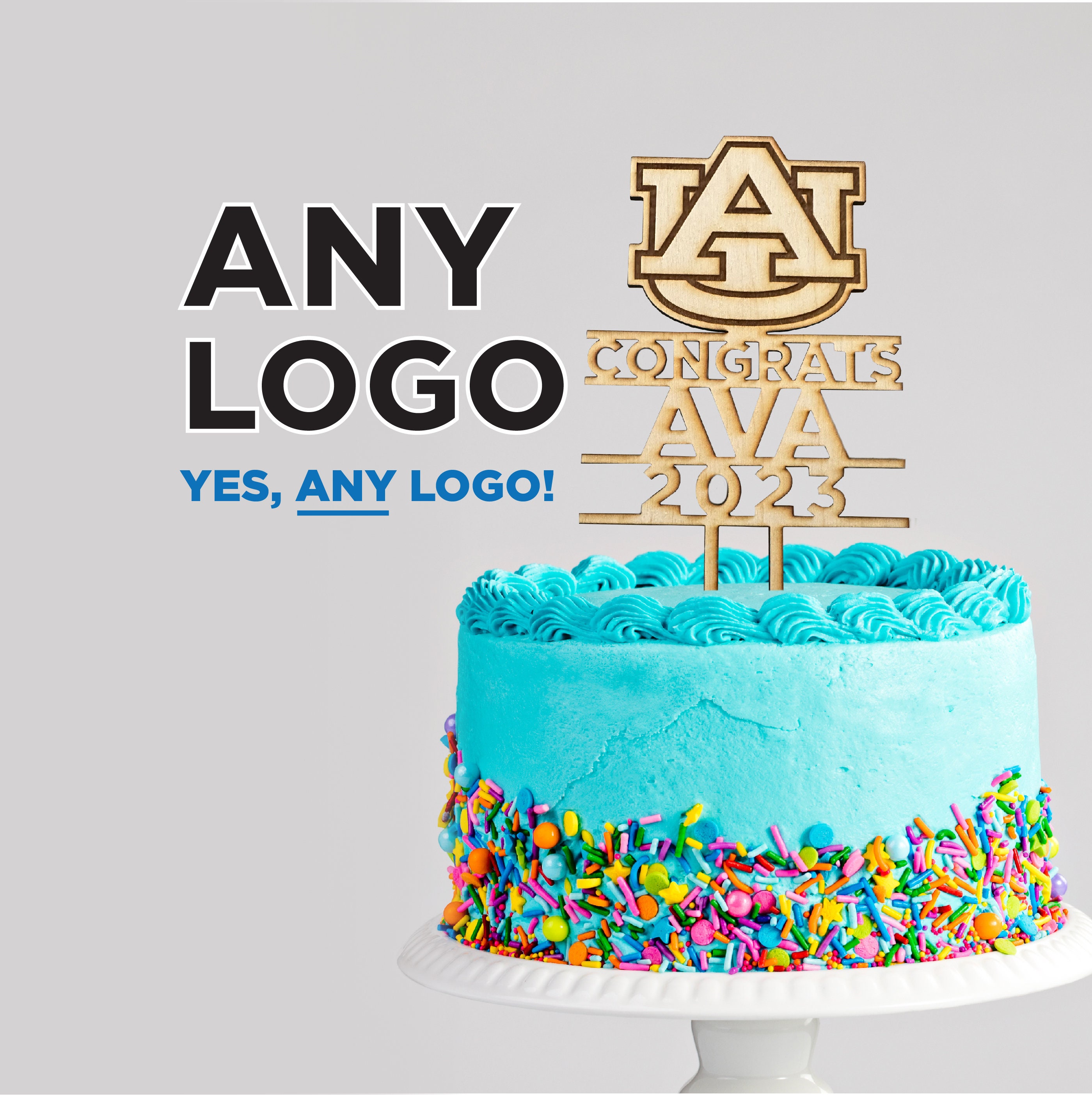 Personalized Cake Topper, Graduation Gift, Any College, Any University, Completely Custom