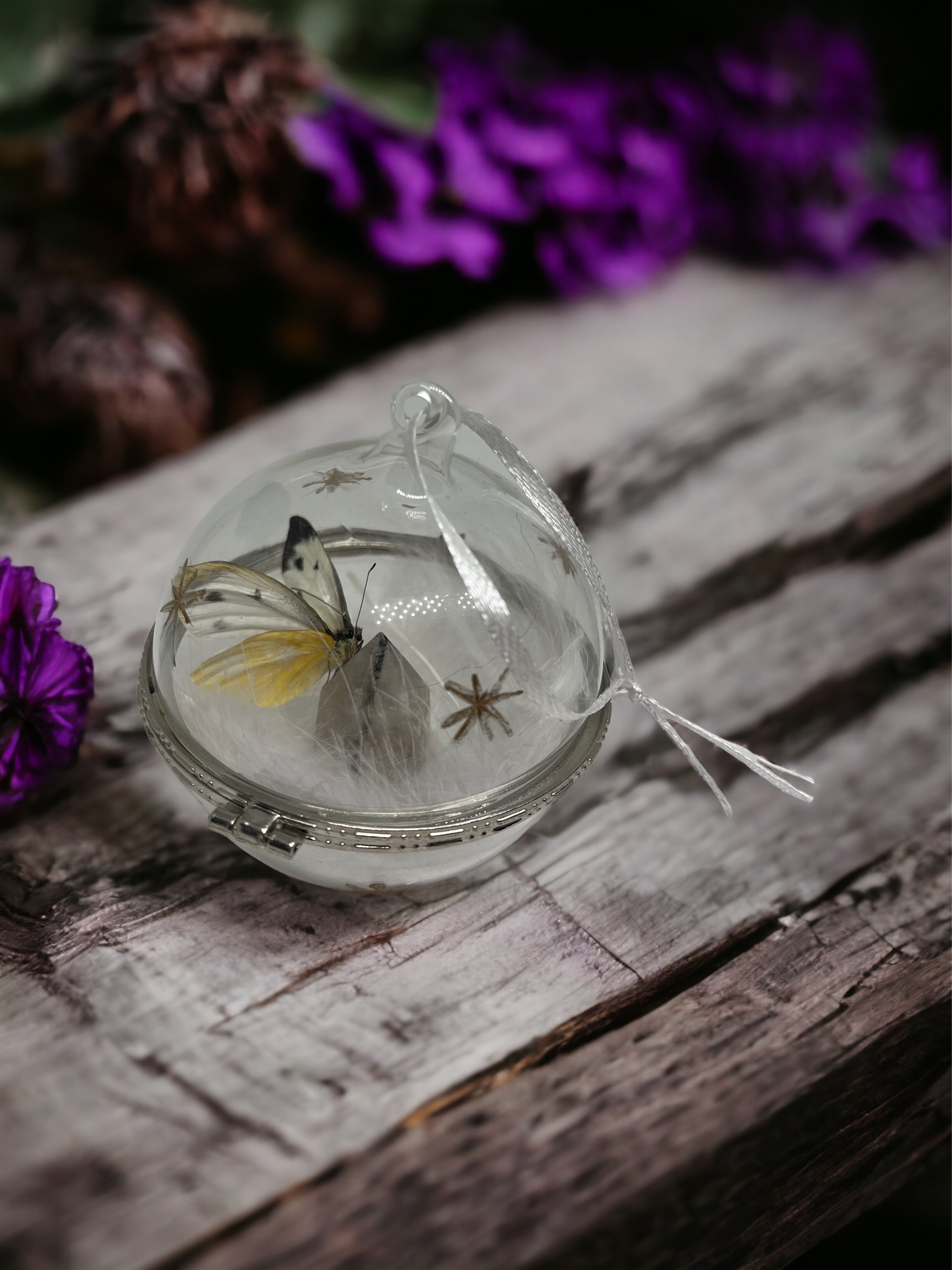 Miu Shiro Butterfly Taxidermy Butterfly Glass Dome Handmade Spiritual