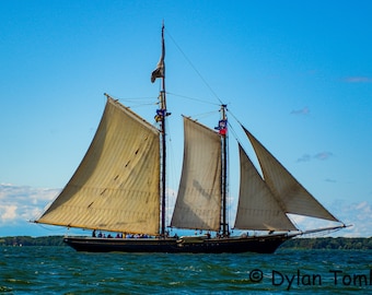Lettie G. Howard Tall Ship Digital Download