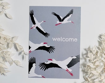 Birth Stork Baby Welcome Welcome Congratulations Postcard Set Girl Boy Boy Girl Party Gender Modern Pregnancy