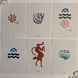 Sealife Maritiem Onderwaterwereld Koraalrif Koraalalgen Duiken Cheeta Zee Oceaan Zonsondergang Zonsopgang Zeeleven Vissen Boheems